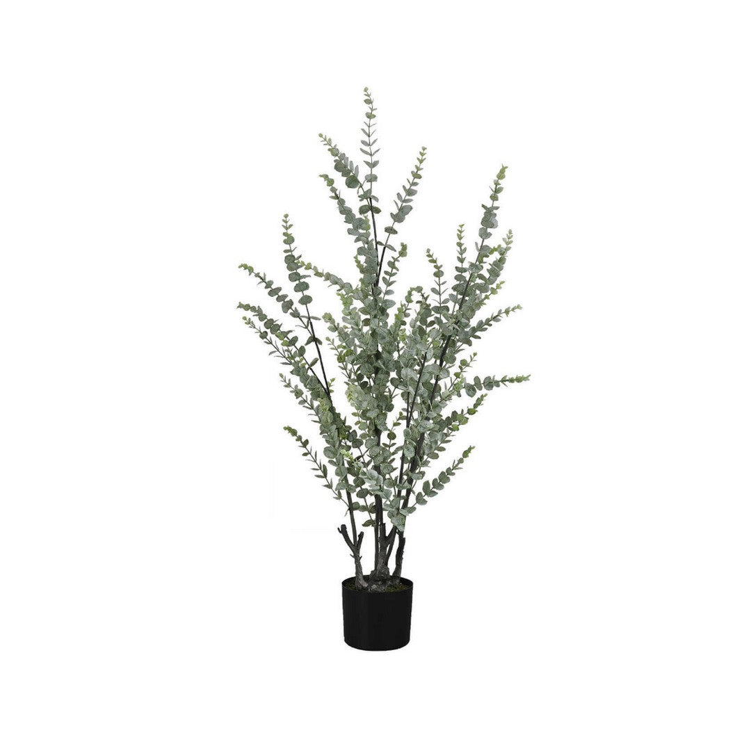 Eucalyptus - 44"H / Indoor