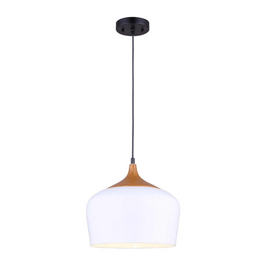 Raphael Pendant *STORE DISPLAY*