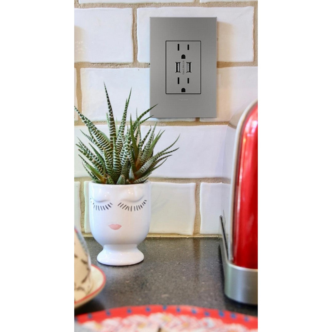 Magnesium, 1-Gang Wall Plate