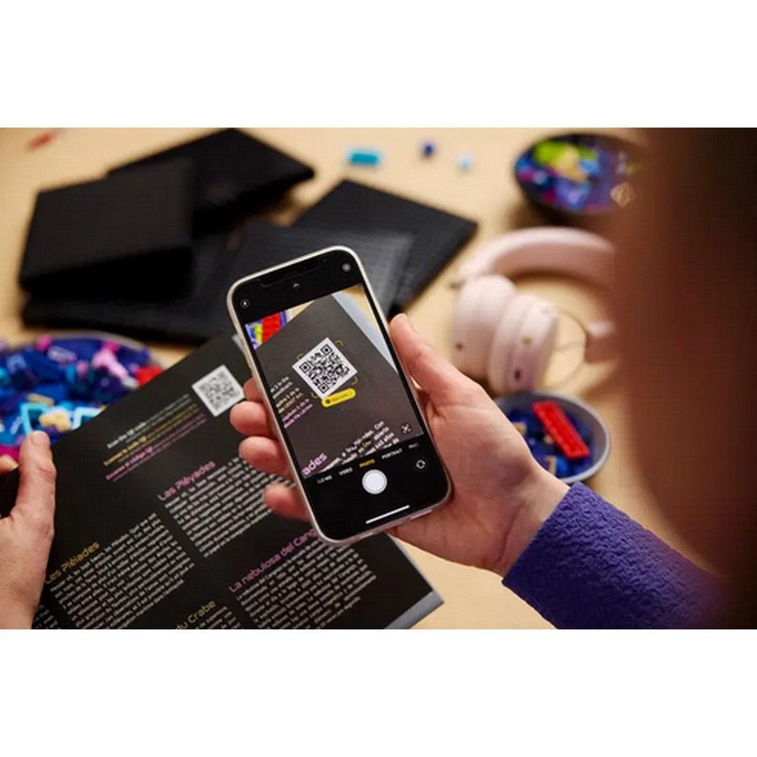 The Milky Way Galaxy