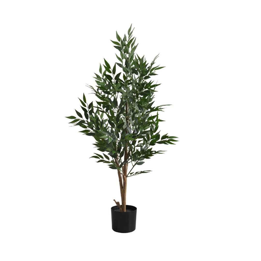 Acacia Tree - 47"H / Indoor