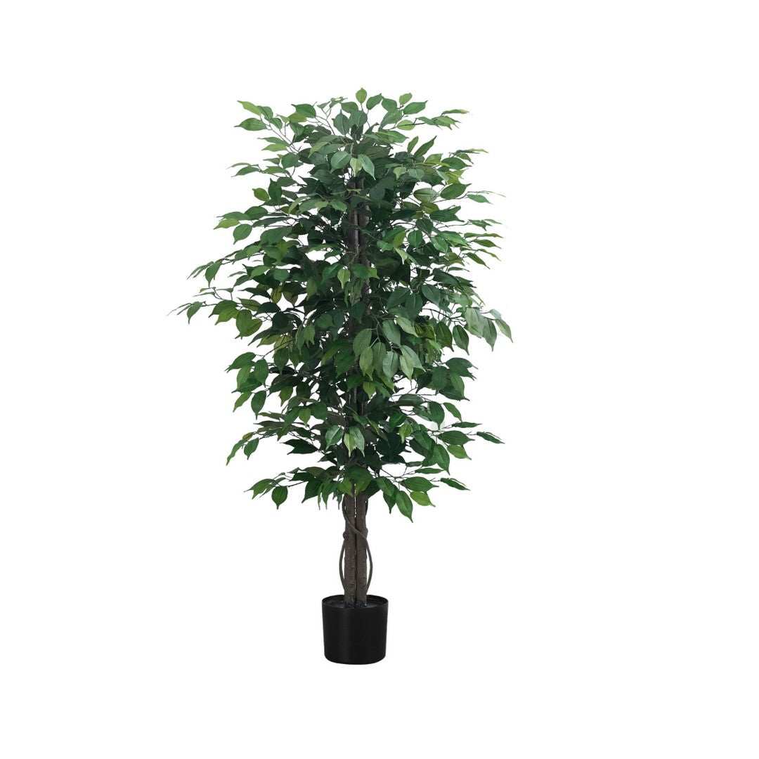 Ficus Tree - 58"H / Indoor