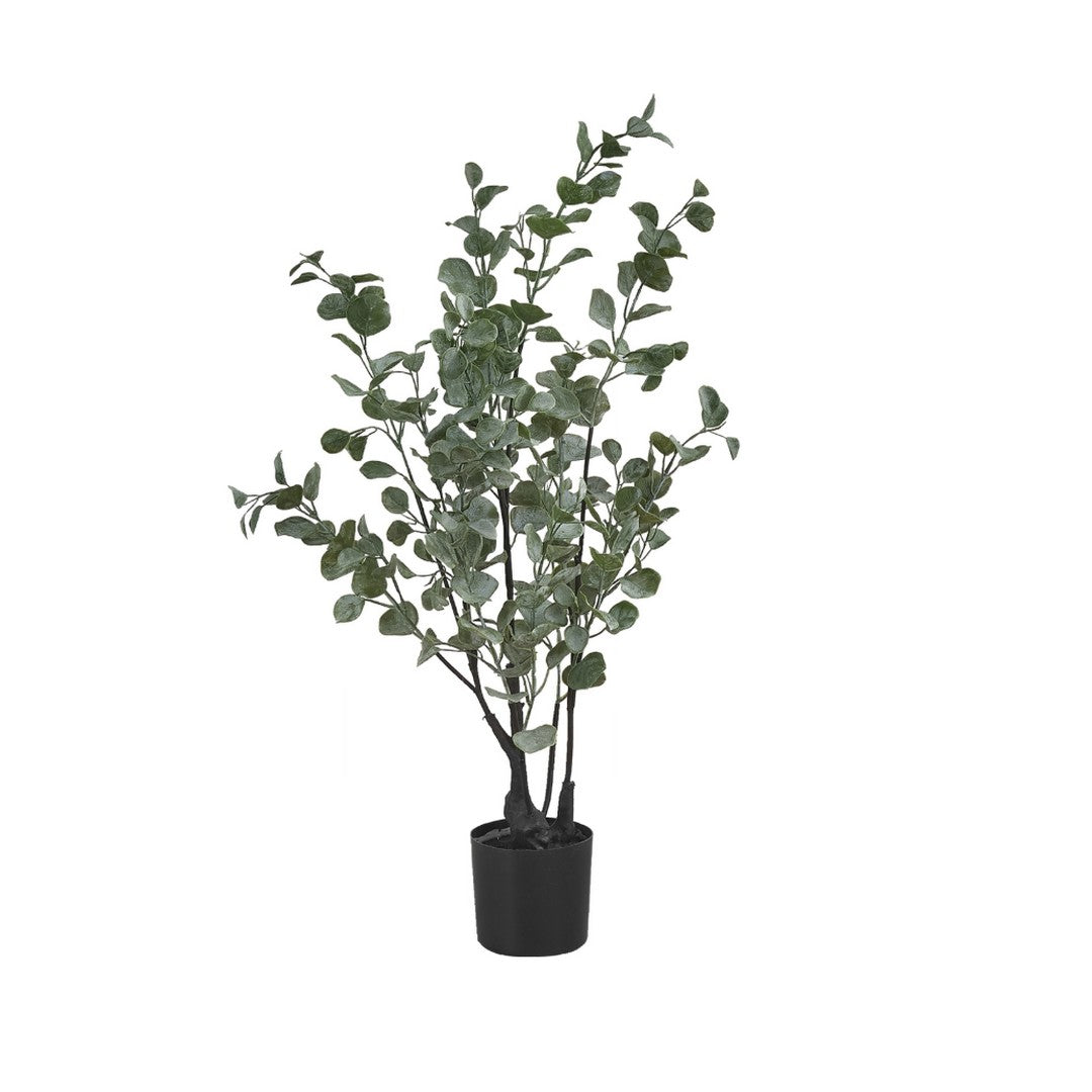 Eucalyptus - 35"H / Indoor