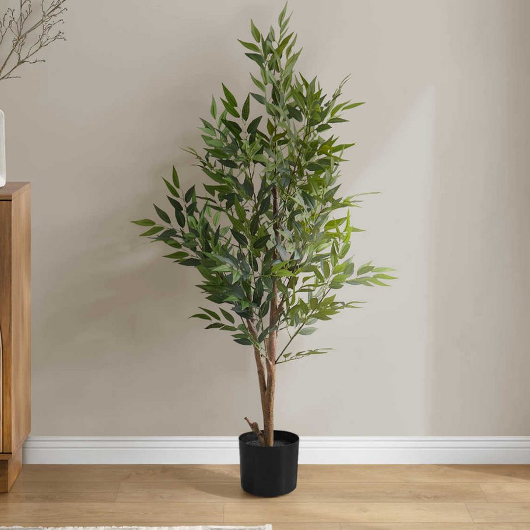 Acacia Tree - 47"H / Indoor