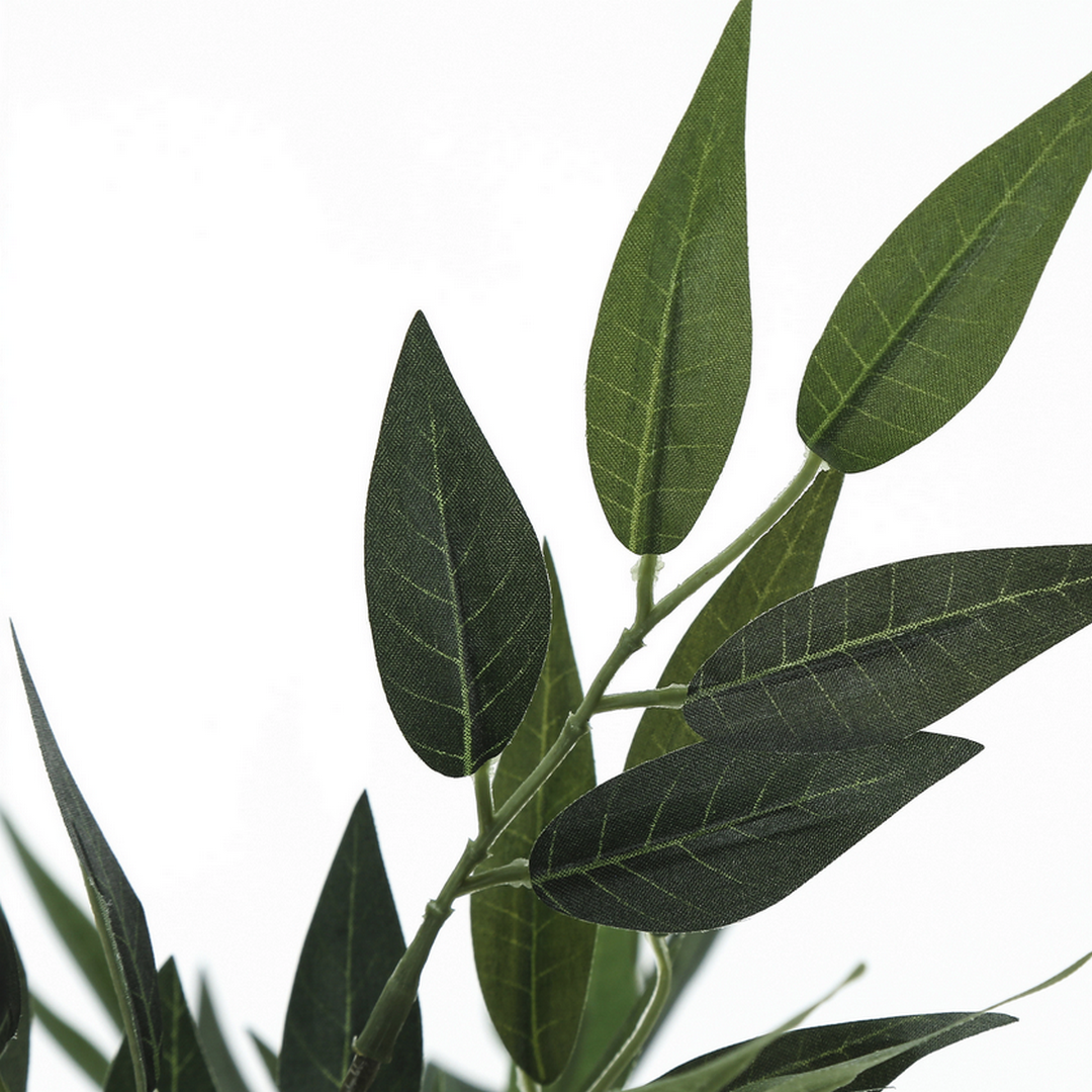 Acacia Tree - 47"H / Indoor