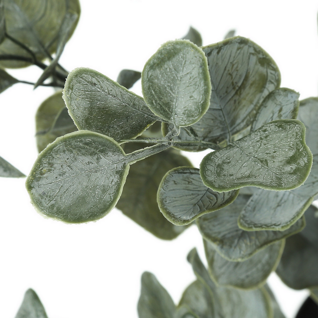 Eucalyptus - 35"H / Indoor