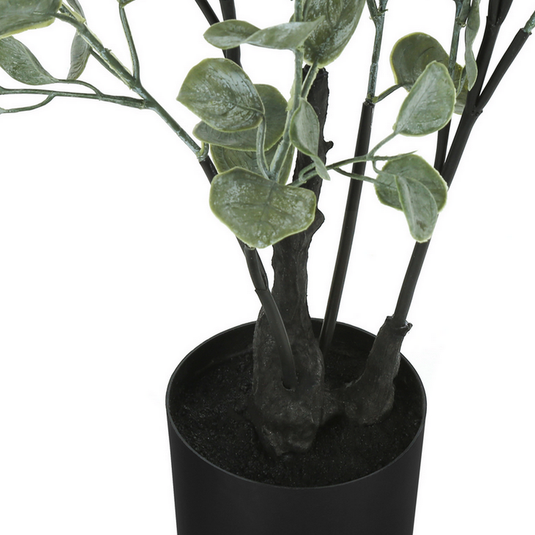 Eucalyptus - 35"H / Indoor