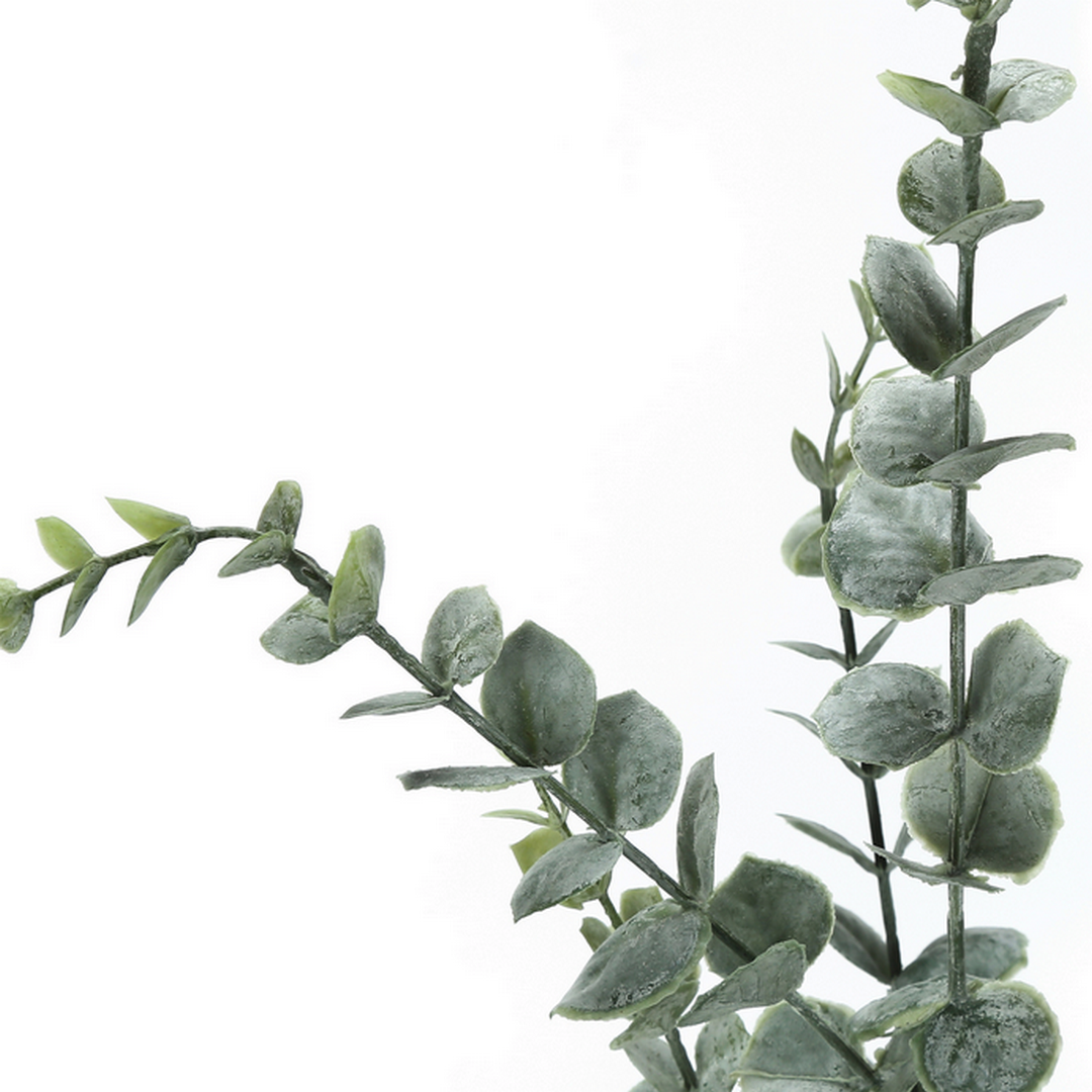 Eucalyptus - 44"H / Indoor