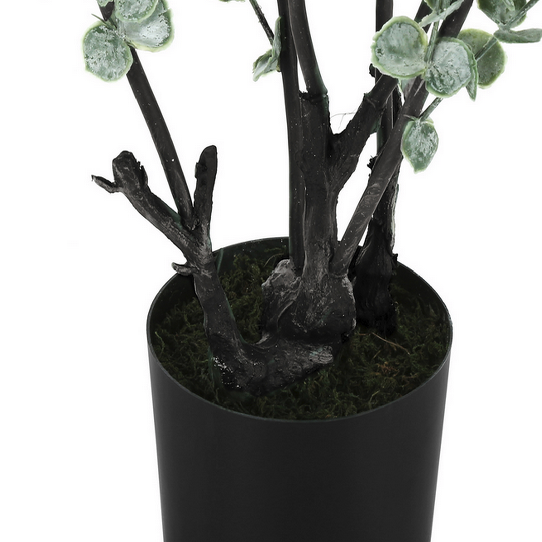 Eucalyptus - 44"H / Indoor