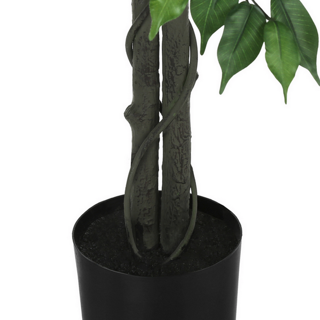 Ficus Tree - 58"H / Indoor