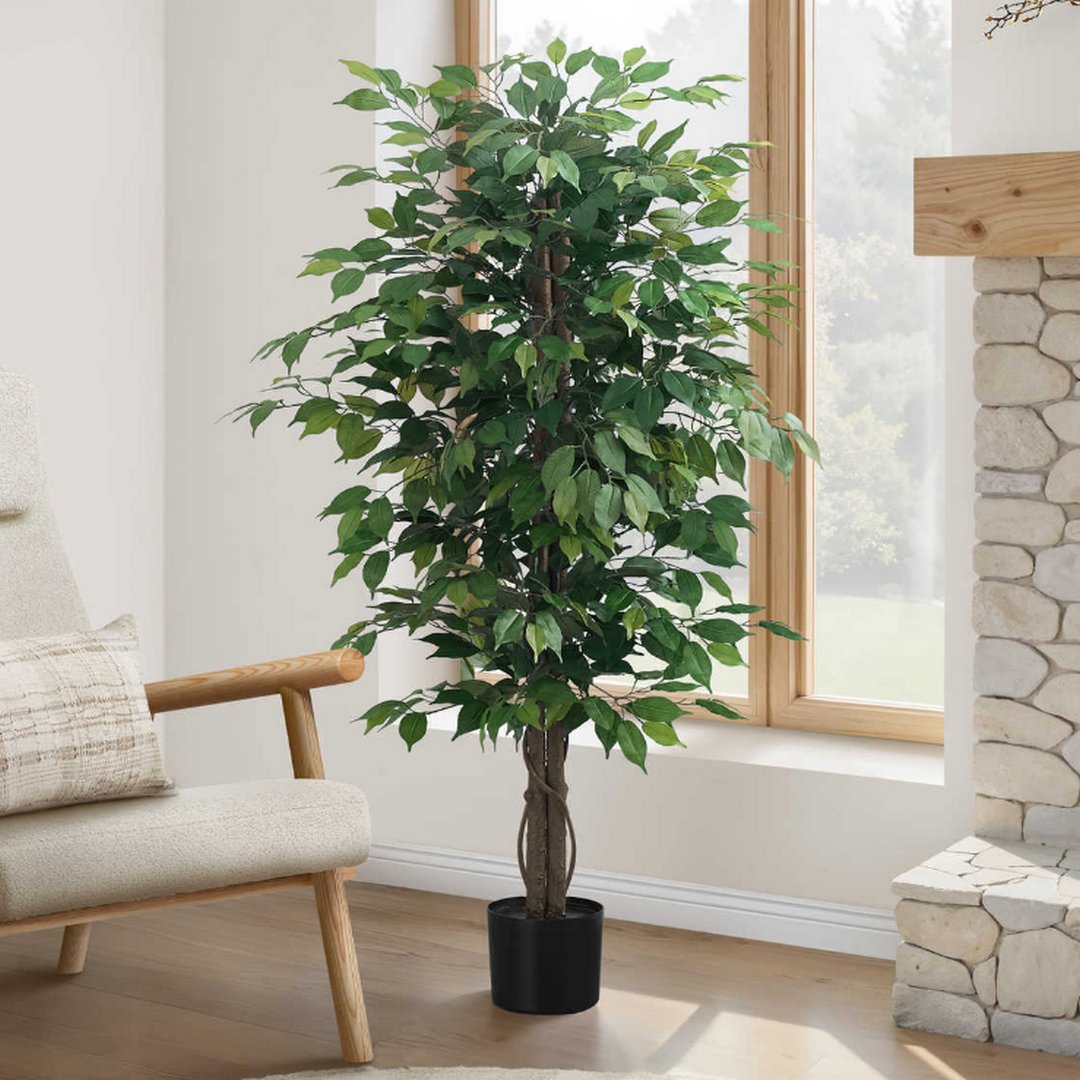 Ficus Tree - 58"H / Indoor