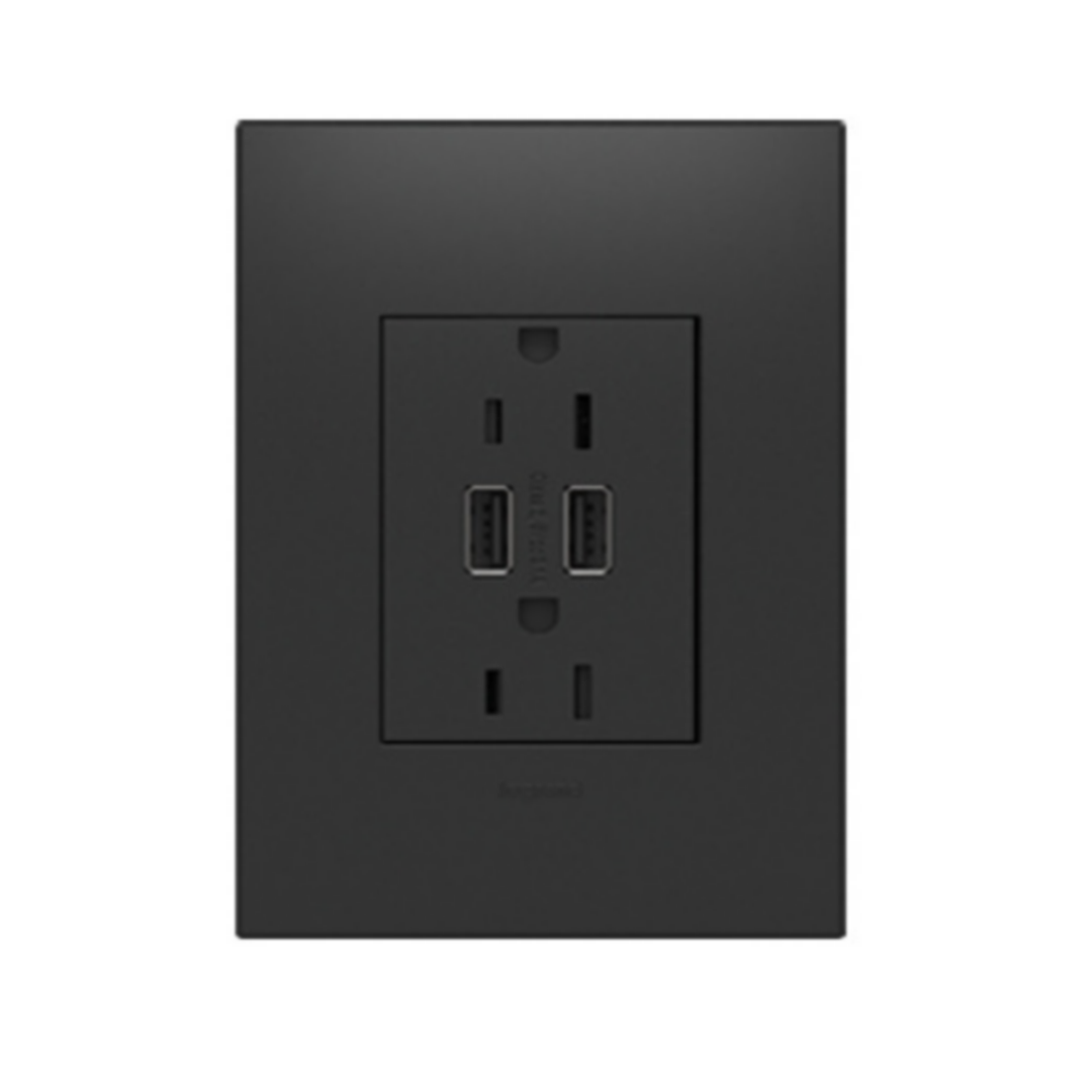Dual-USB Outlet- Graphite