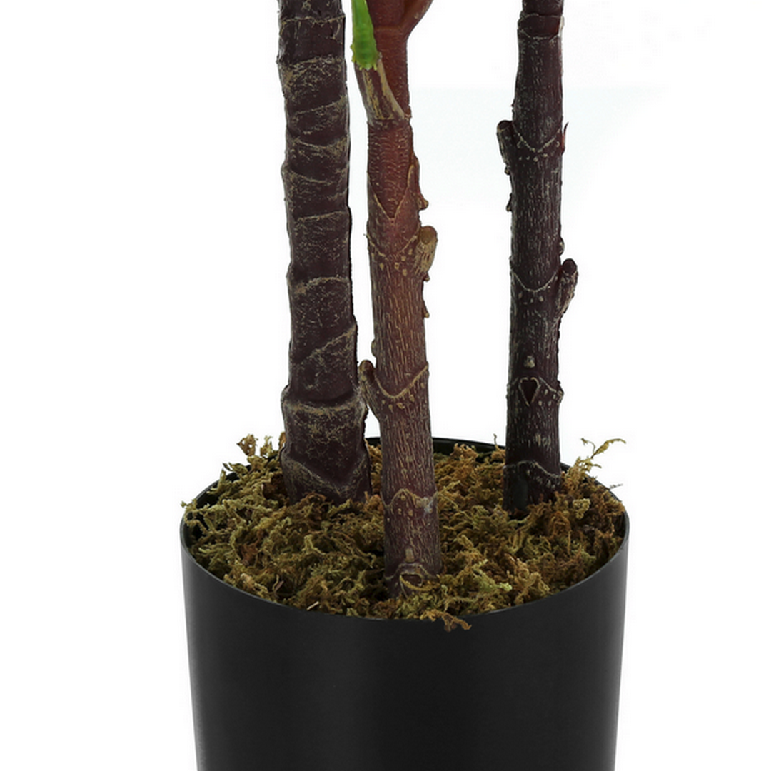 Indoor Oak Tree - 47"H / Indoor