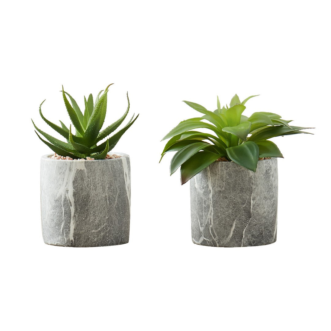 Succulent Artificial 2-Pc Plants