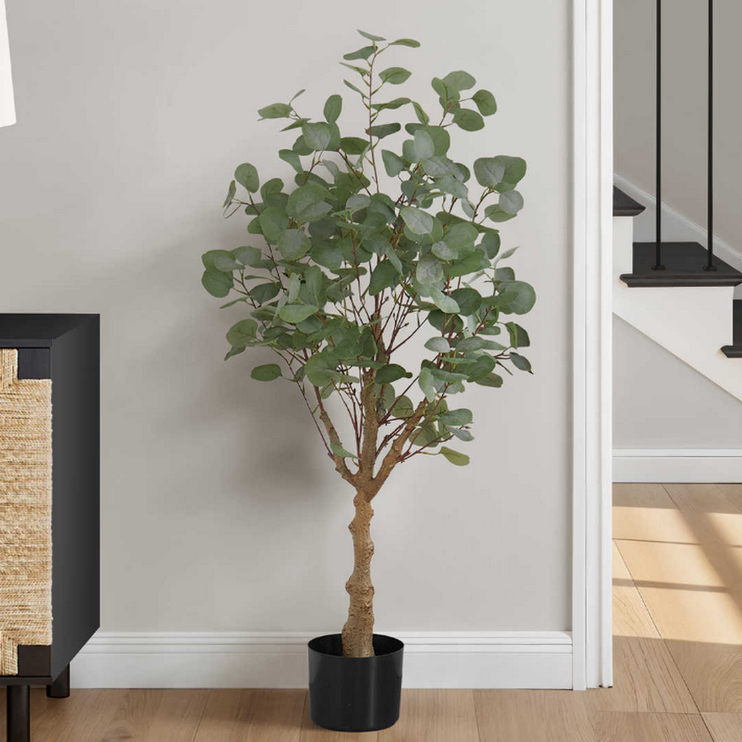 Eucalyptus - 46"H / Indoor