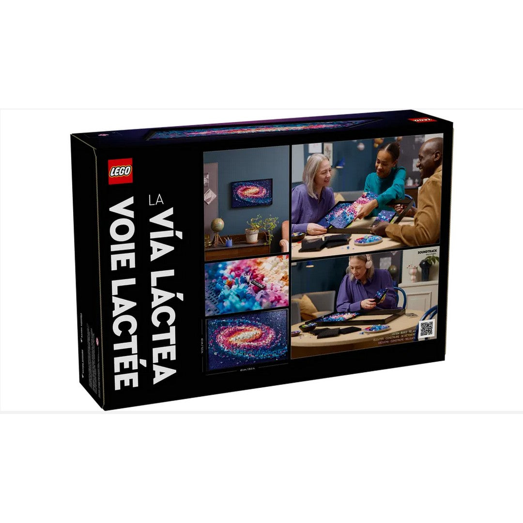 The Milky Way Galaxy