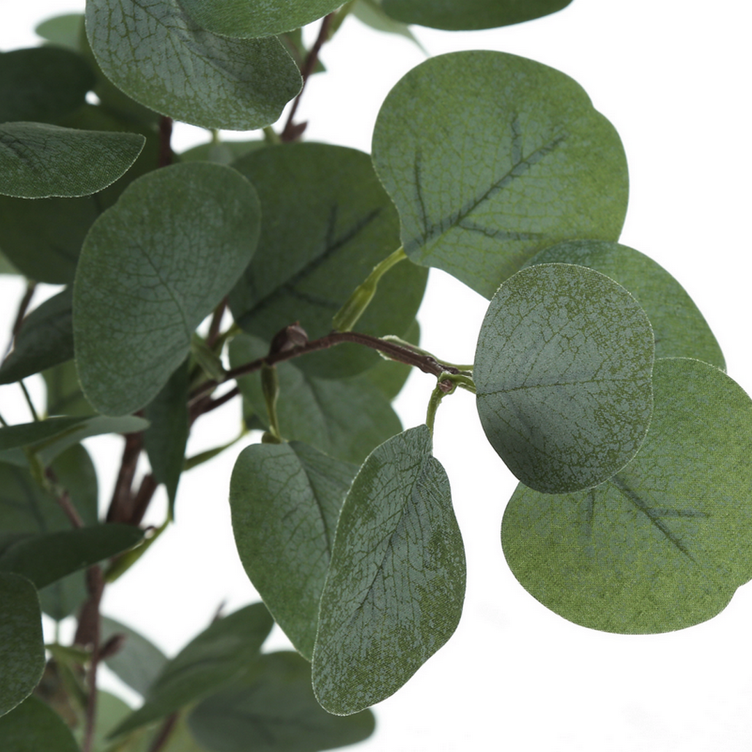 Eucalyptus - 46"H / Indoor