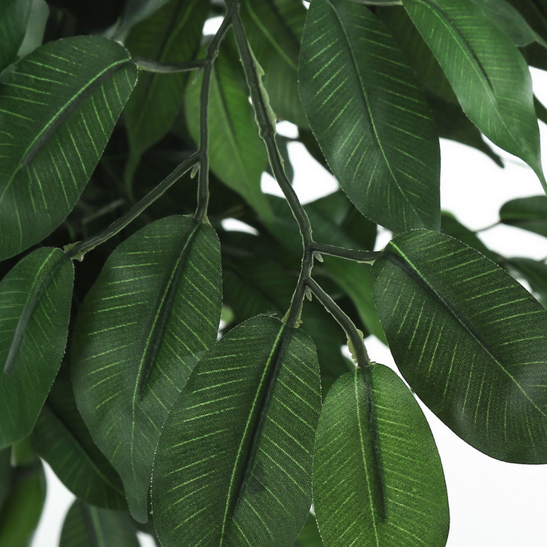 Ficus Tree - 58"H / Indoor