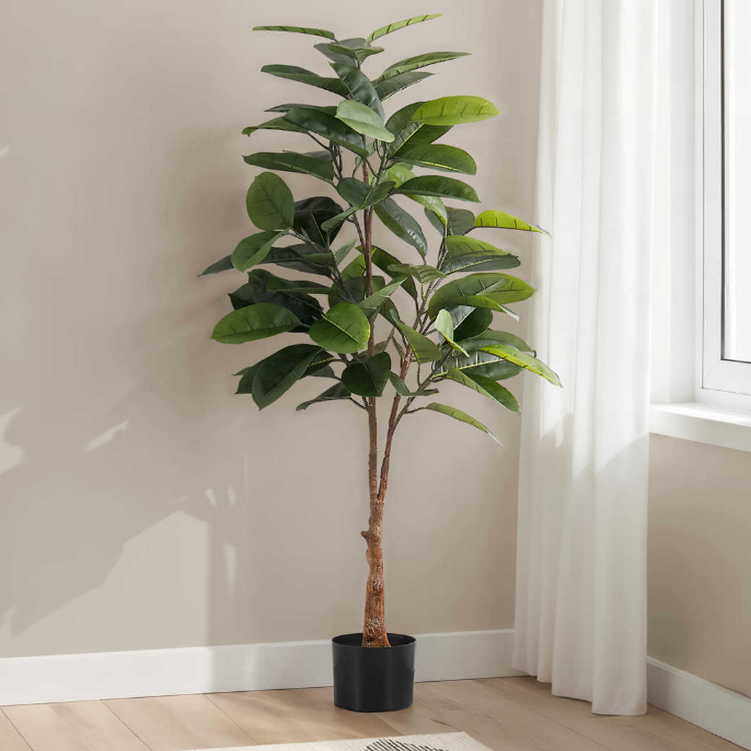 Artificial Rubber Tree - 52"H / Indoor