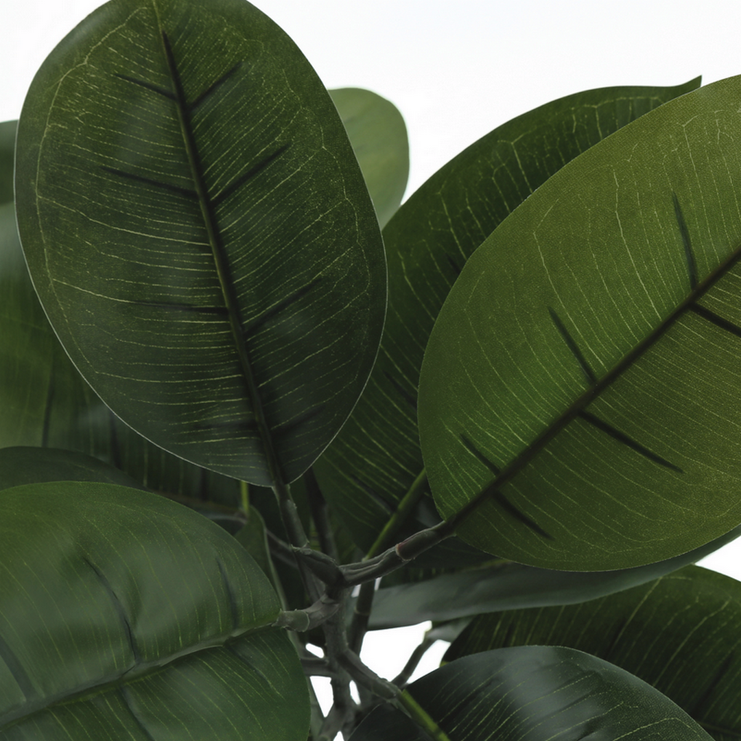Artificial Rubber Tree - 52"H / Indoor