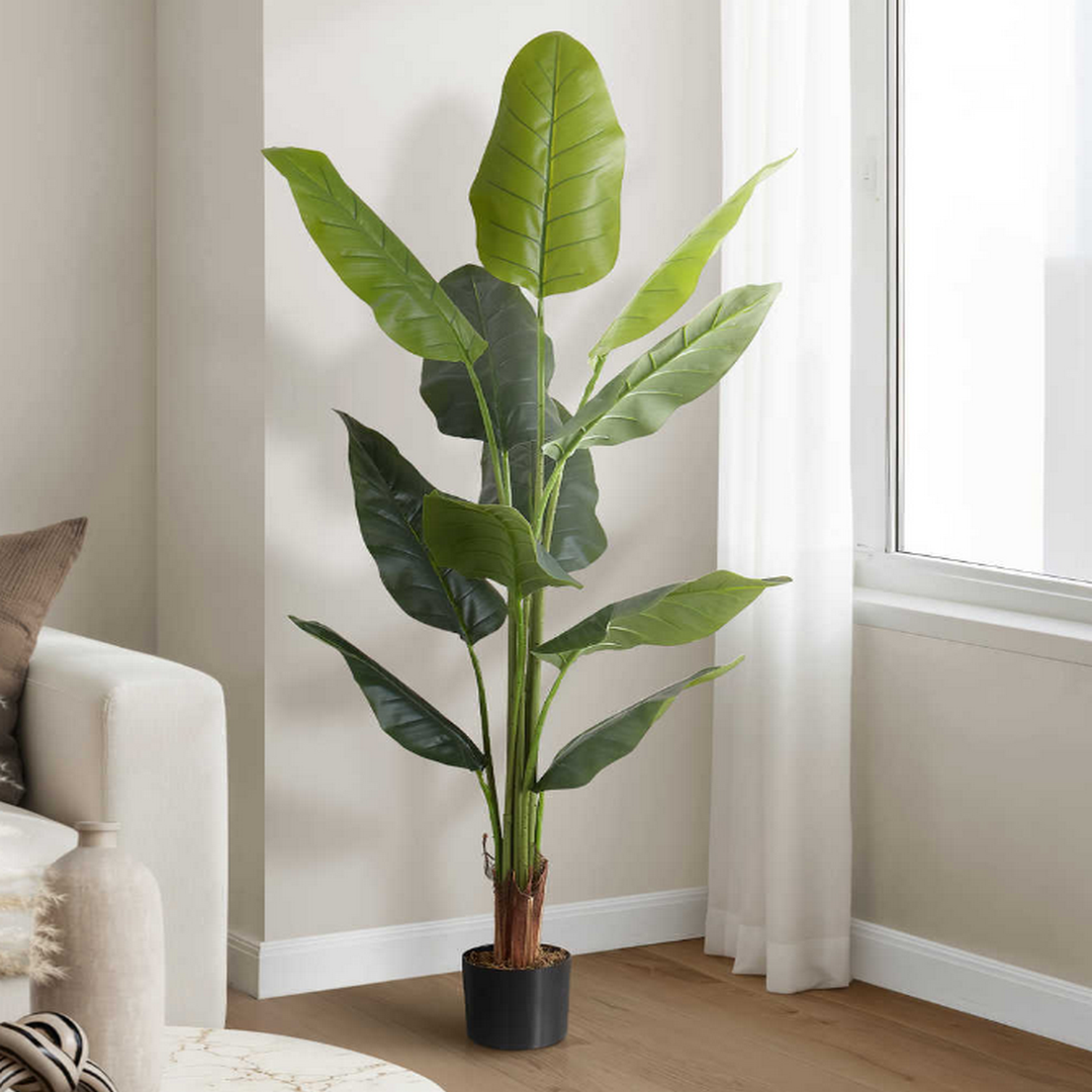 Strelitzia - 59"H / Indoor